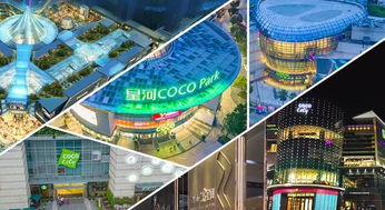 集團(tuán)商業(yè)綜合體管理服務(wù)升級(jí)，以精細(xì)化運(yùn)營(yíng)引領(lǐng)城市商業(yè)新生態(tài)